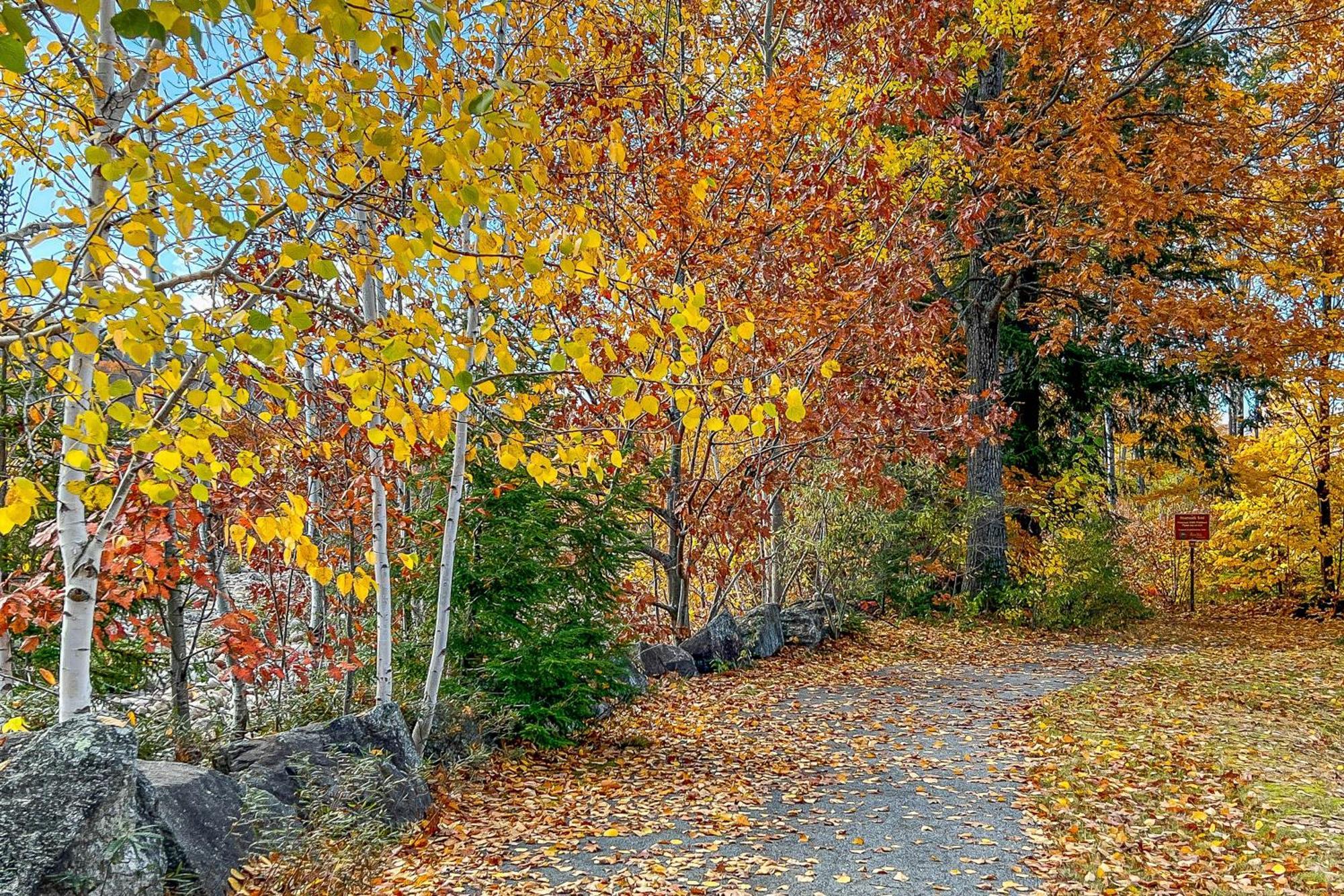 Autumn Colors Condo, Unit 215 Линкълн Екстериор снимка